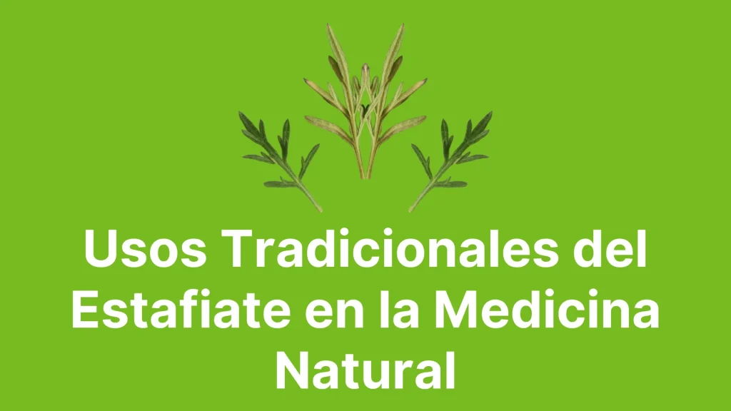 Usos Tradicionales del Estafiate en la Medicina Natural