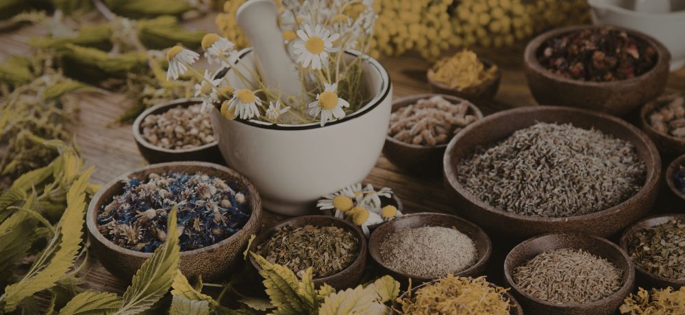 plantas medicinales para que sirven