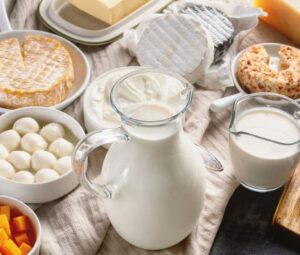 probioticos y prebioticos