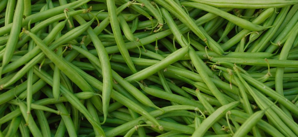 vitamina b5 para que sirve