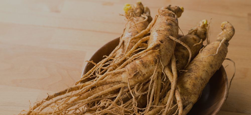 para que sirve el ginseng