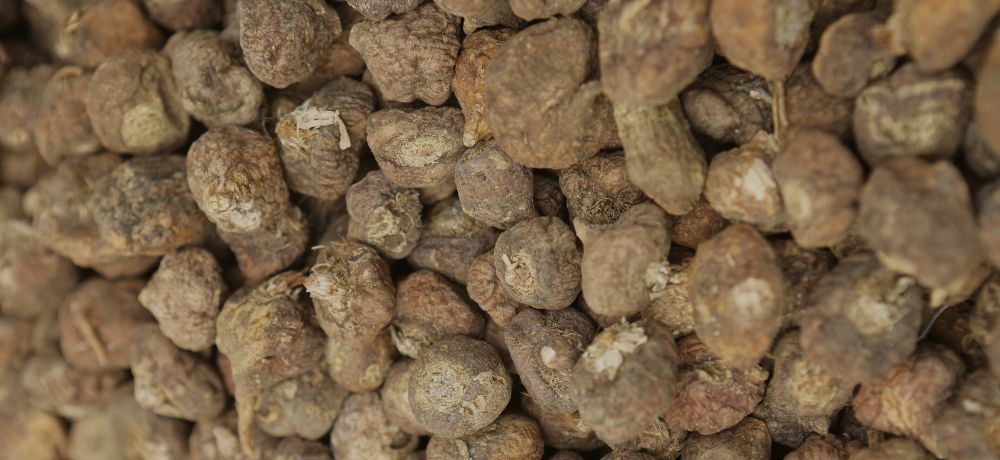 Para qué sirve la maca: 8 beneficios reales, tipos y cómo tomarla