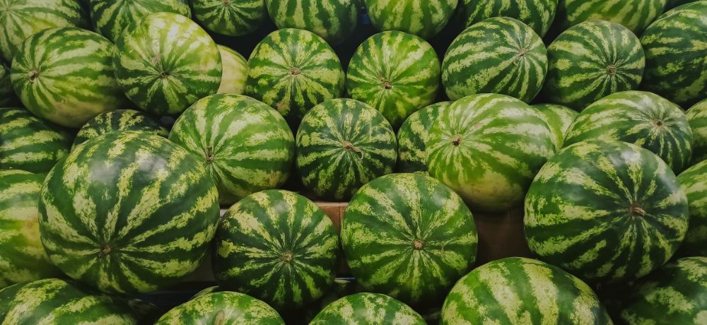 vitamina b1 para que sirve