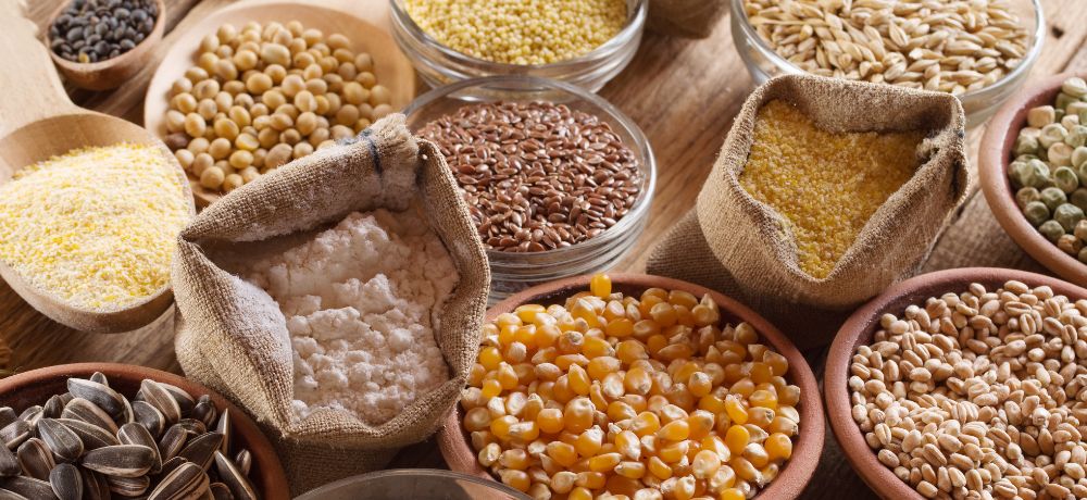 vitamine b9 alimentacion