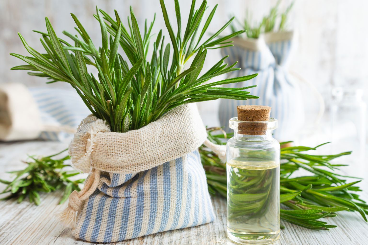 Aceite esencial de romero en frasco de vidrio con cuentagotas