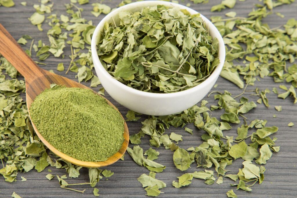Beneficios de la moringa_ usos y propiedades