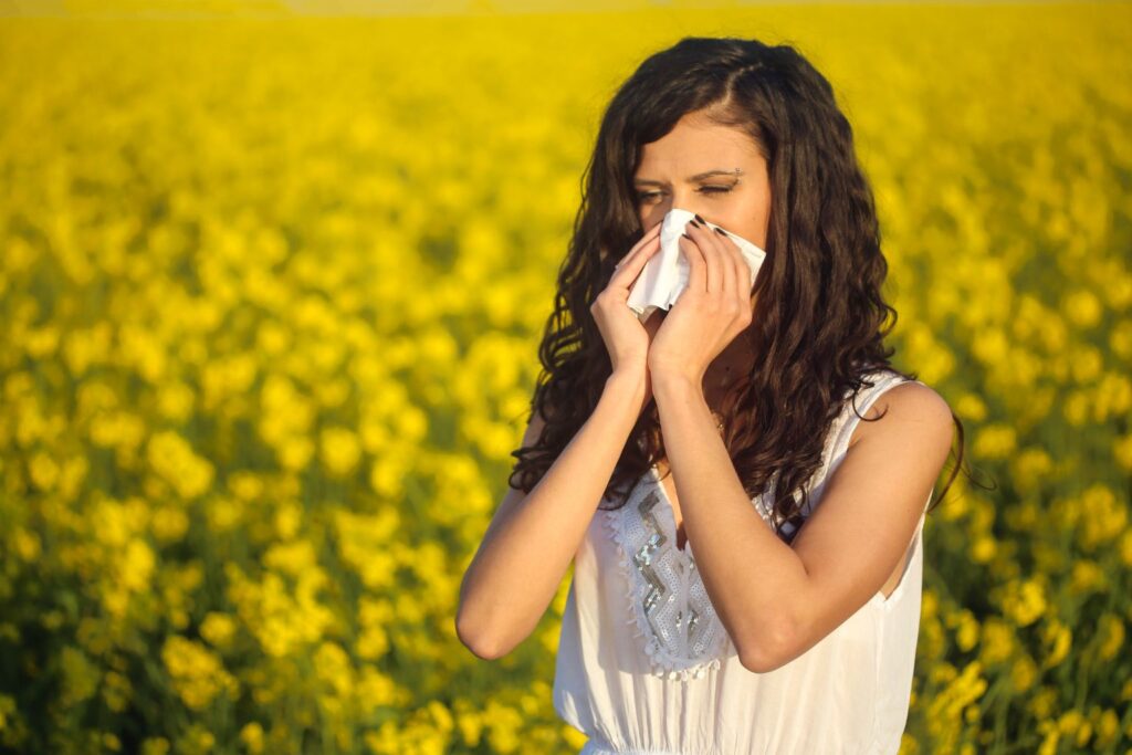 Efectos secundarios de la manzanilla