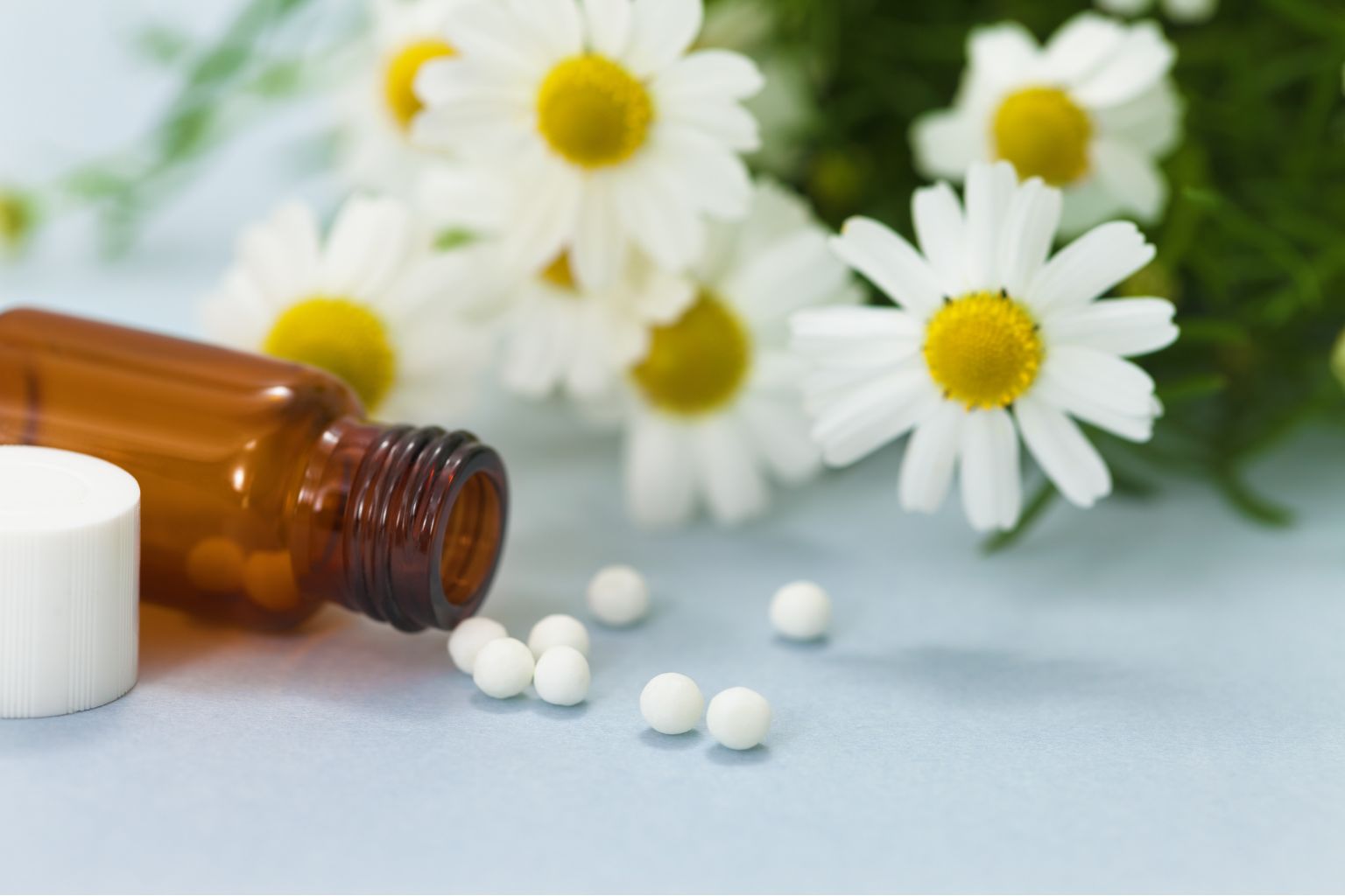 Manzanilla junto a medicamentos ilustrando las contraindicaciones de la manzanilla con tratamientos médicos