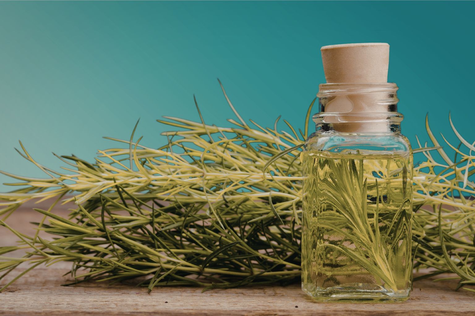 Para qué sirve el romero - aceite esencial aromaterapia cosmética natural