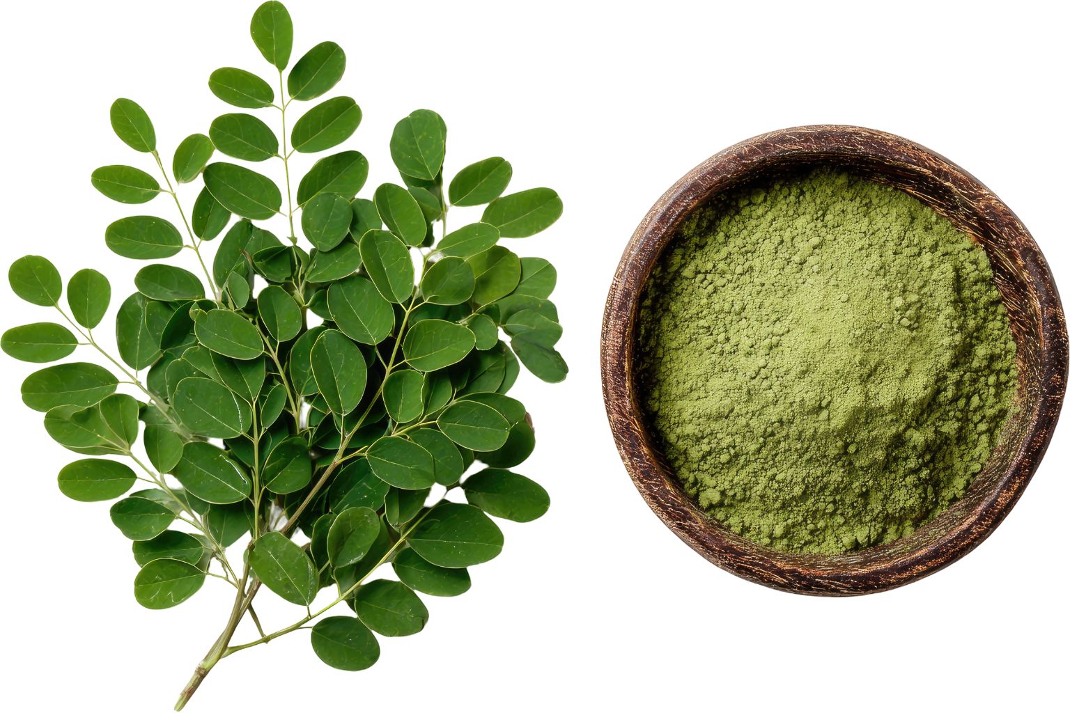 Polvo de moringa verde en bowl con hojas frescas sobre mesa de madera
