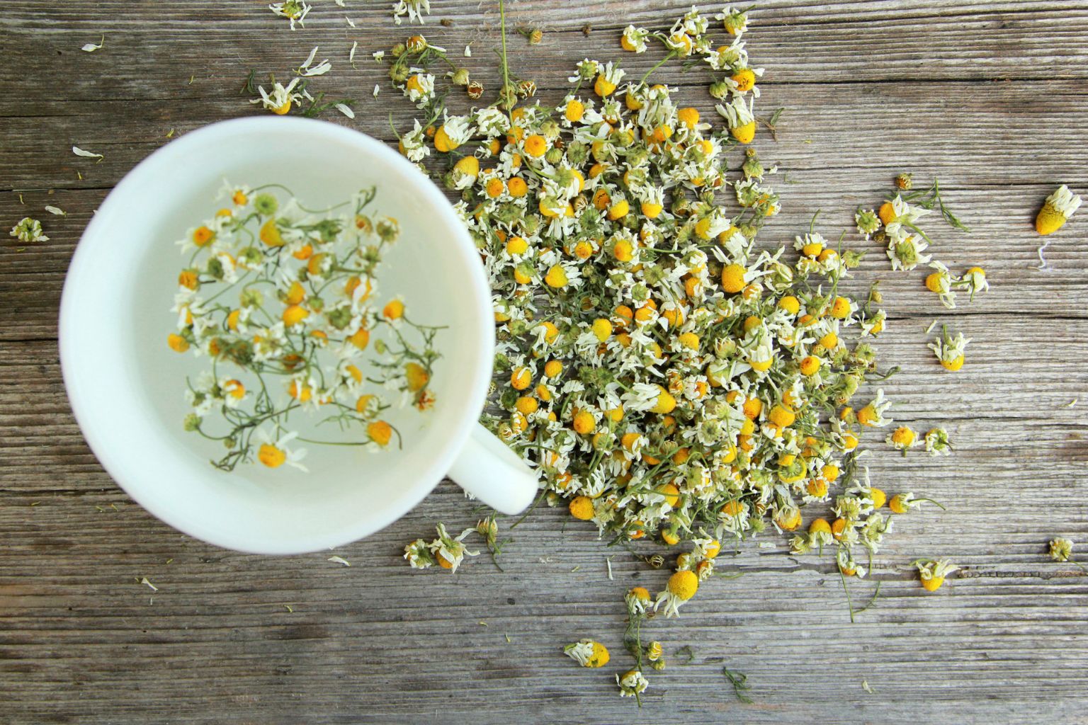 Preparación de infusión de manzanilla en tetera para diversos usos