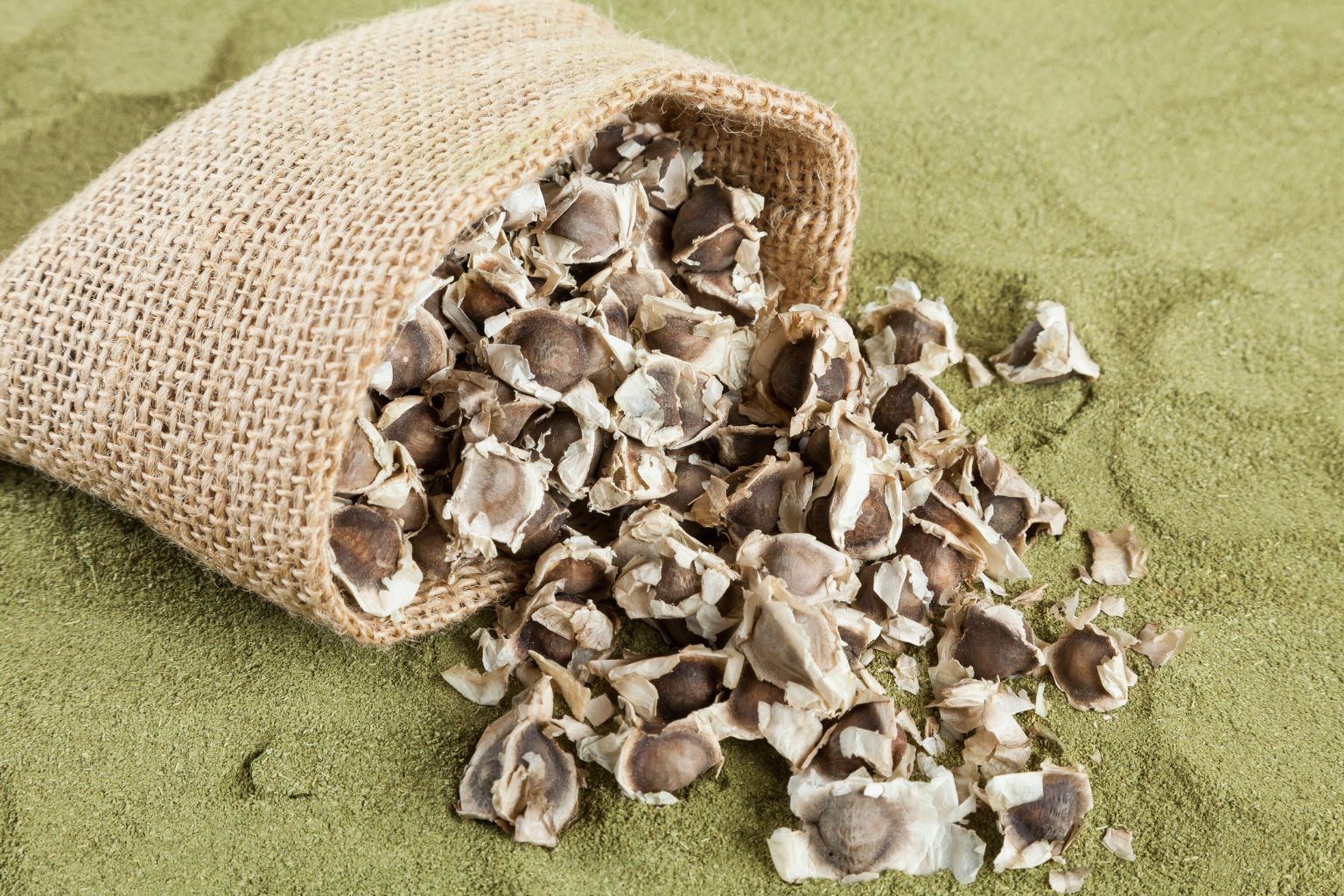 Semillas de moringa enteras y molidas sobre superficie neutra