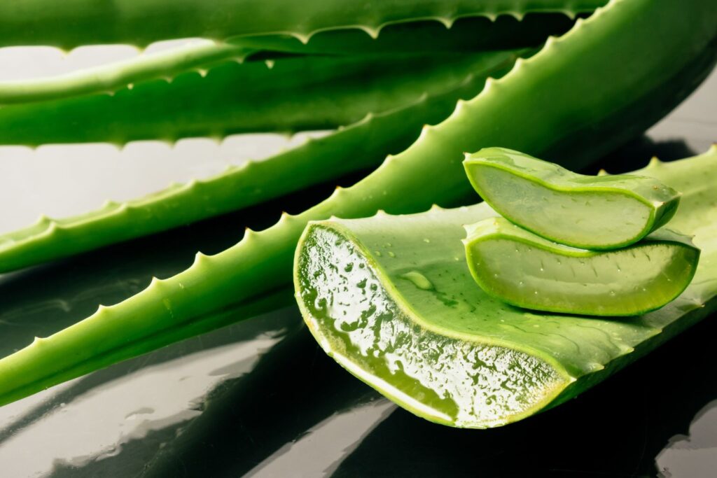 Para qué sirve el aloe vera_ usos y aplicaciones comunes